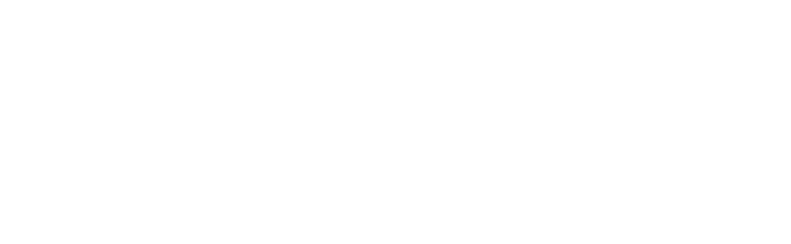 Premier Junk Removal
